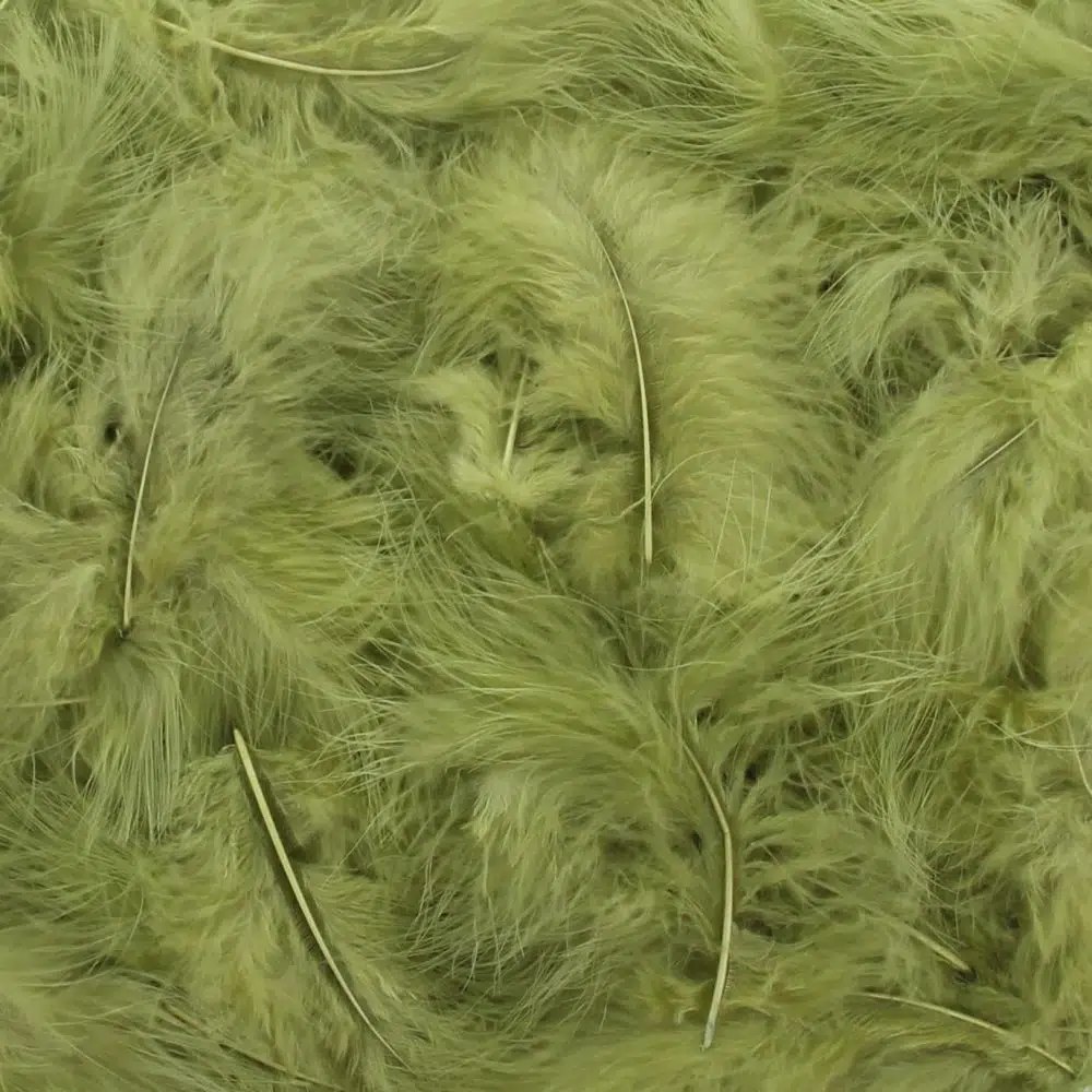 pluimpjes lentegroen