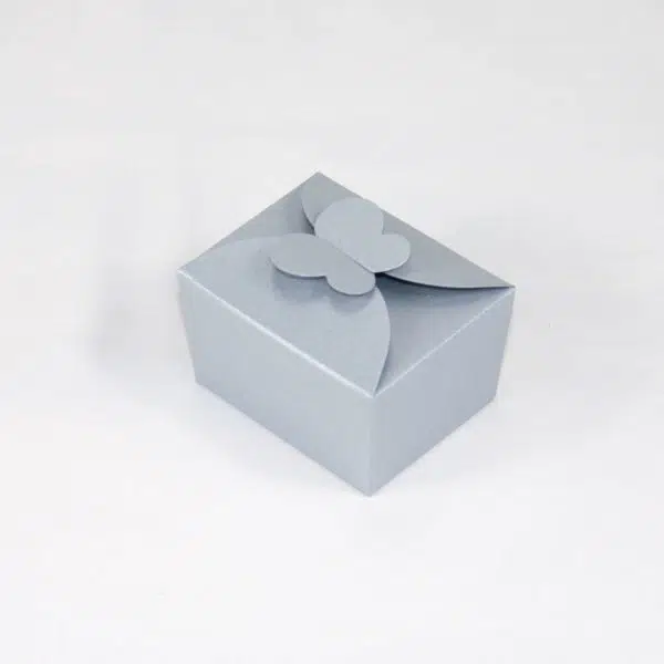 vlinderdoosje_zilver